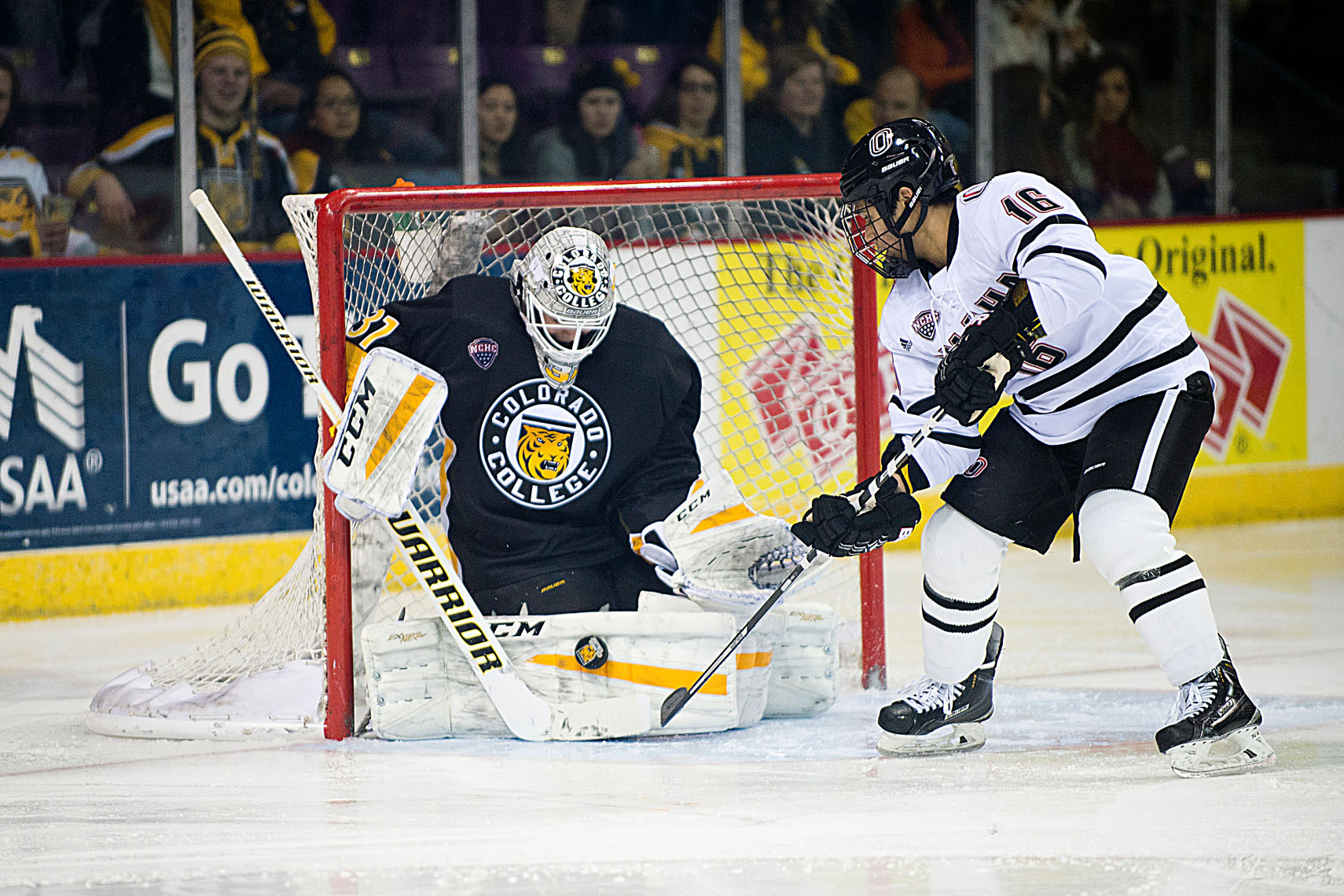 Colorado College Hockey, 2015-16 season